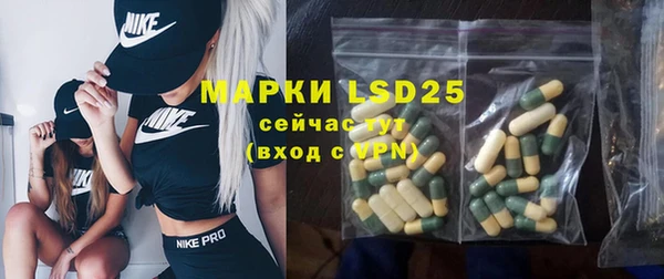 ECSTASY Богородицк