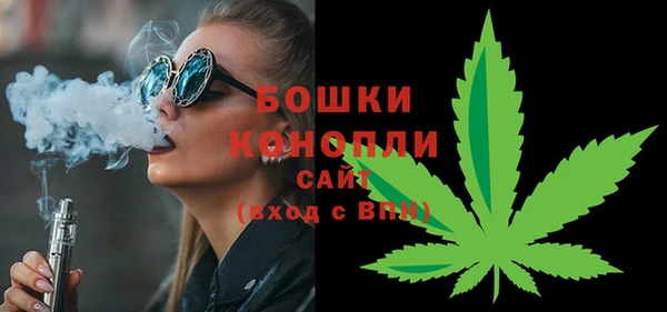 ECSTASY Богородицк