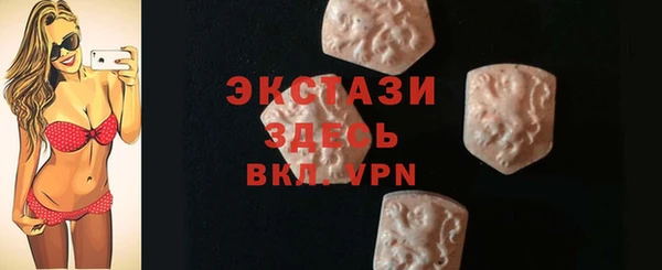 ECSTASY Богородицк