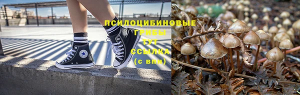 ECSTASY Богородицк